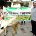 POKJALUH Surakarta Berikan Bantuan Hewan Qurban ke Masjid Muhajirin
