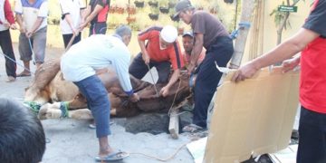 Peringatan Idul Adha MTsN 1 Surakarta