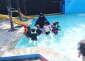 Mencetak  Generasi  Sehat  Dan  Pandai dengan Berenang