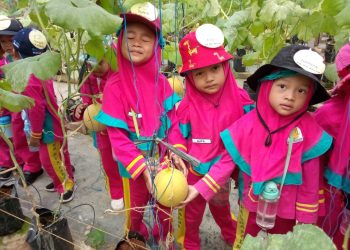 SISWA RA PALMA KUNJUNGAN BELAJAR DI GREEN HOUSE MELON KBIS COLOMADU