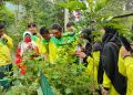 Obat Tradisonal dan Wirausaha Jadi Fokus Pembelajaran Outing Class