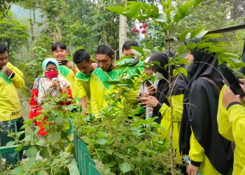 Obat Tradisonal dan Wirausaha Jadi Fokus Pembelajaran Outing Class