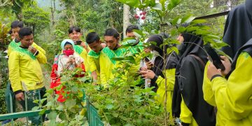 Obat Tradisonal dan Wirausaha Jadi Fokus Pembelajaran Outing Class