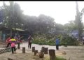Penebangan Pohon Resiko Tumbang di Lingkungan MTs Muhammadiyah Surakarta