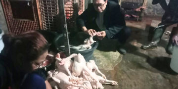 Berkat Desakan Pelanggan, Sertifikat Penyembelihan Halal Harus Didapatkan