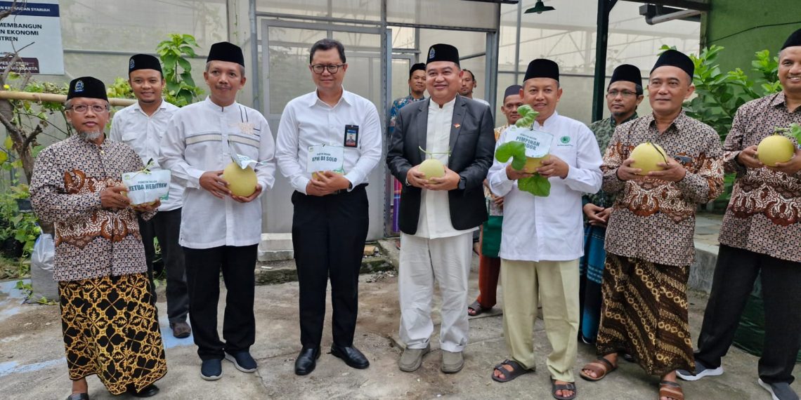 PANEN MELON INTANON DI PP TAKMIRUL ISLAM SURAKARTA