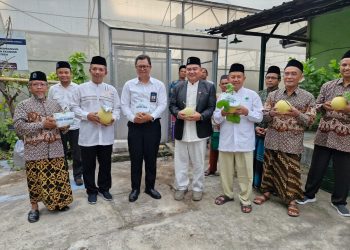 PANEN MELON INTANON DI PP TAKMIRUL ISLAM SURAKARTA