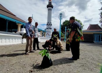 Hijaukan Bumi, Tebar Manfaat: Penanaman Pohon Matoa Wujud Cinta Lingkungan ala Kemenag