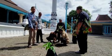 Hijaukan Bumi, Tebar Manfaat: Penanaman Pohon Matoa Wujud Cinta Lingkungan ala Kemenag