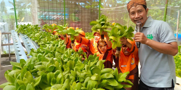 Belajar Bertanam Modern, Siswa RA Palma Kunjungi Mubarok Farm